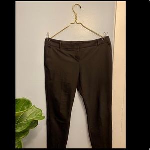 Express Columnist Pants